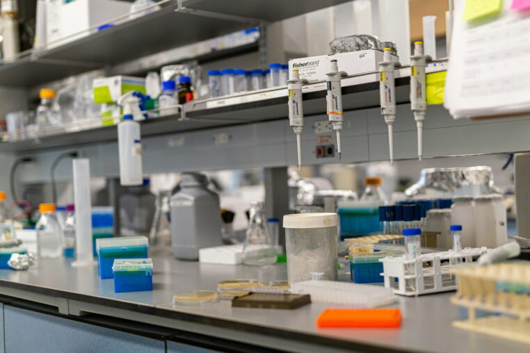 Lab bench being used for research purposes
